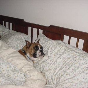 Sera's favorite place