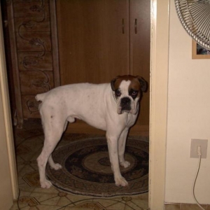 Bruno just checking things out
