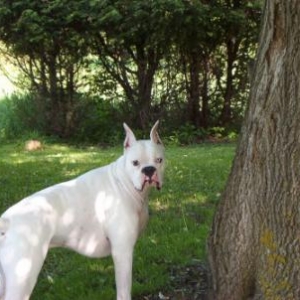 Max