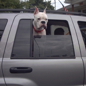 Come on Mommy hurry up lets go!