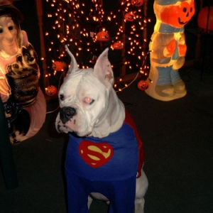Super Max