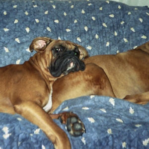 Max & Goldy