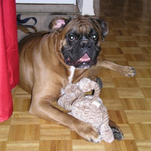 Max with his favorite toy