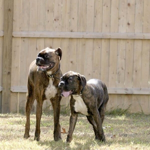 Zoe and her boyfriend Taz