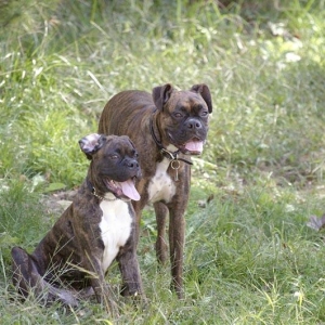 Zoe and her boyfriend Taz