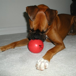 Xenie With Her Kong