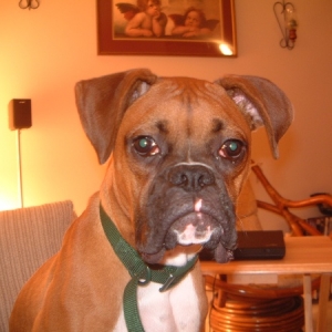 MaXX @ home