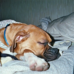 snoozin'
