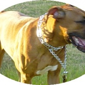 Xuxa again -