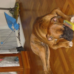 Picture_094