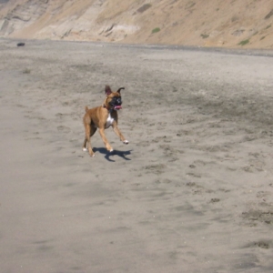 Picture_179