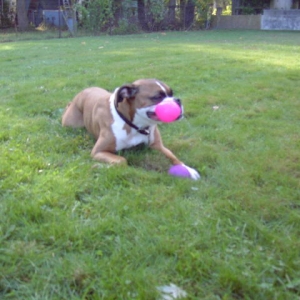 Beautiful Autumn Day