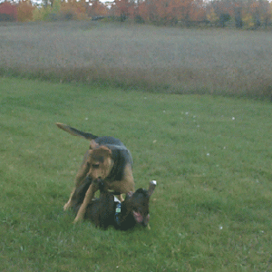 Vegas & Jessie