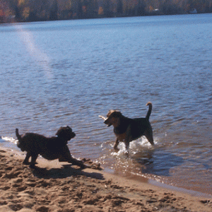 Swimming on Thanksgiving???
