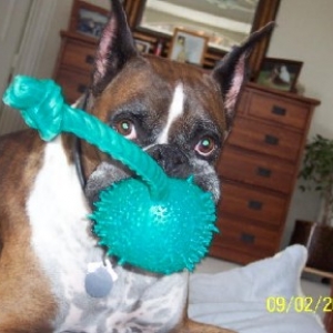 Jordan with new toy