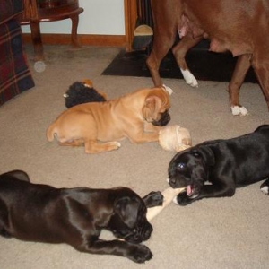 Coal and Sisters