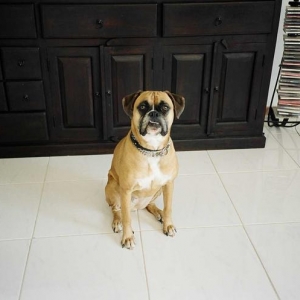 Trying to look mean!