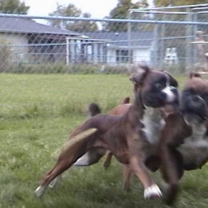 Kodi and Tyson