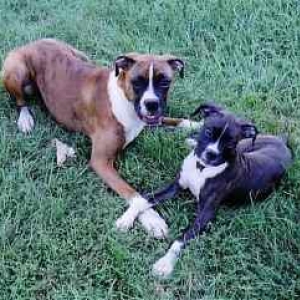 Mags_and_Bell2