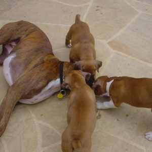 Triple Kiss