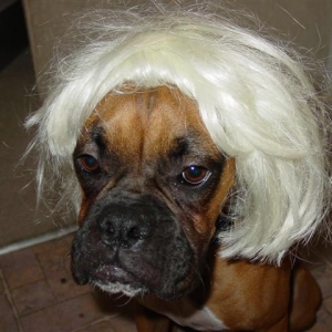 How do I look ???