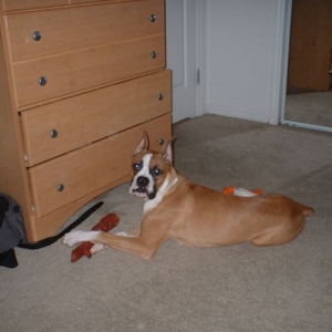 Diesel at 6 1/2 months
