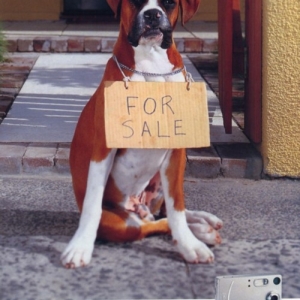AnotherCoolAd