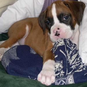 Love this blanky