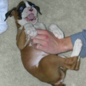 I luv belly rubs!!