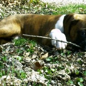 Lil Maggie