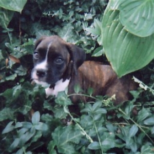 Baby Isabelle