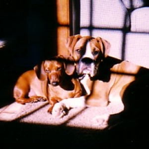 Lexi and Sugarbear