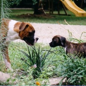 Maggie meeting Isabelle