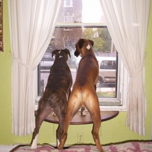 Daddy's coming!