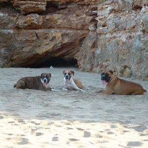 Day at the Beach