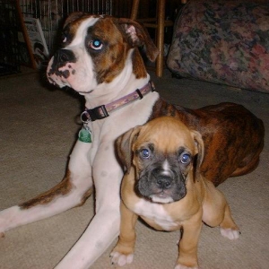 Rayne & Kimber