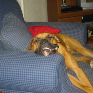 Sleephead