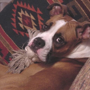What a face!