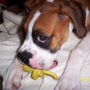 Tanner & his Pacifier