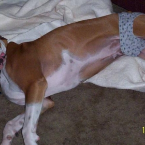 Why did you wake me up?