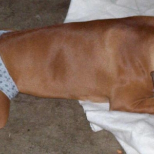 Snoozin in my undies!