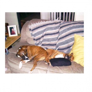 Sleepy Girls