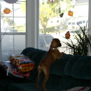 what are they doing out there?