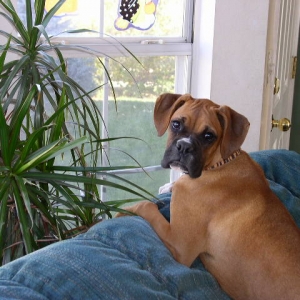Yes, can I help you?