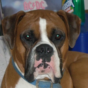 I Am So Sweet and Innocent!!!!!