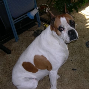 Mommie, I Am Really Innocent!!!!