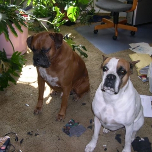 Who Made This Mess!!!!