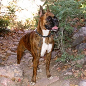 Fall Hike