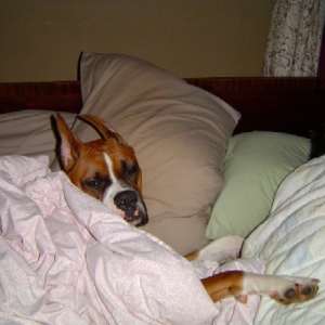 Hey, I was sleeping!!