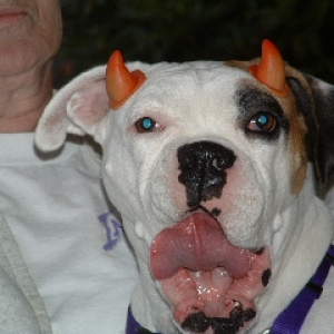Trick or Treat?